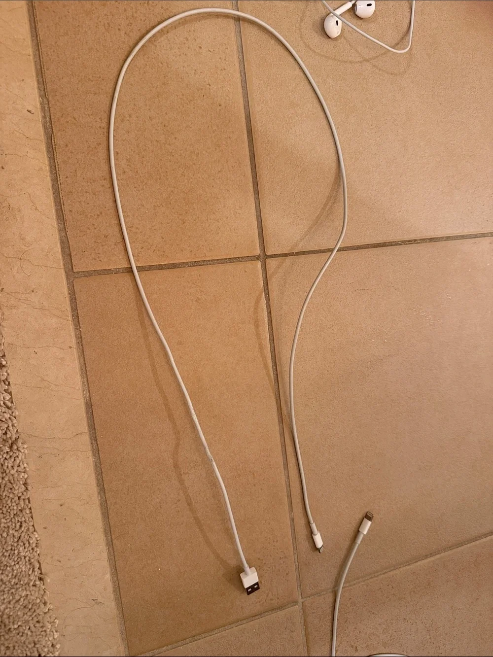 Apple White Lightning Cables and Wired Earbuds